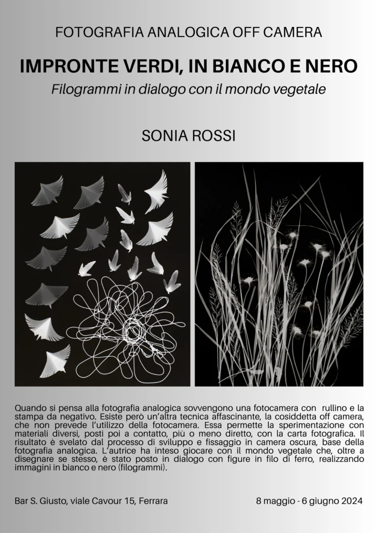 Sonia Rossi Fotografia analogica off camera Impronte verdi Filogrammi in dialogo con il mondo vegetale - Ferrara 2024